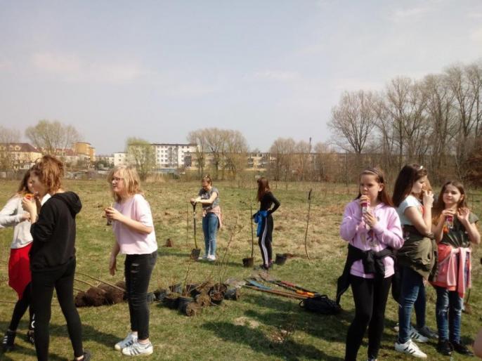 Zielone płuca miasta