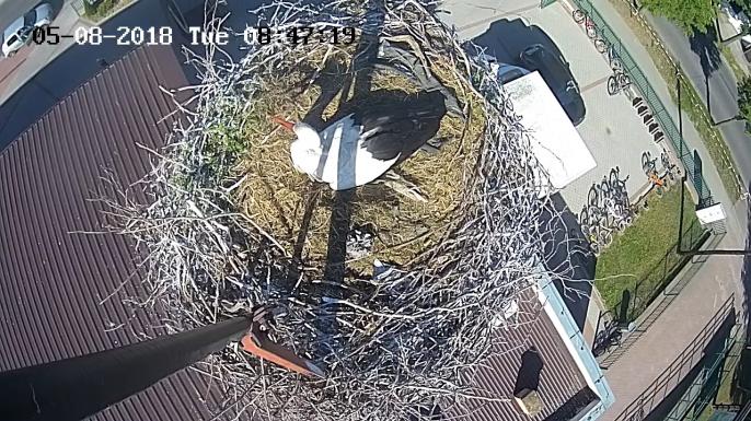 Dawno nie odwiedzaliśmy Władusiów …