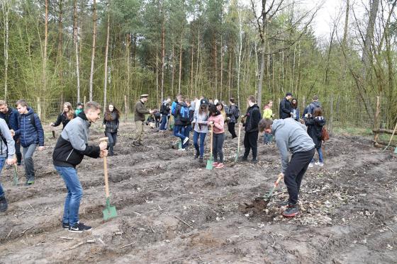 1000 Drzew Na Minutę