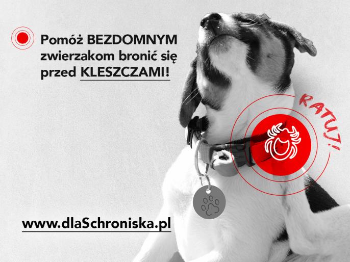 Ratuj bezdomne zwierzaki z Konina przed kleszczami