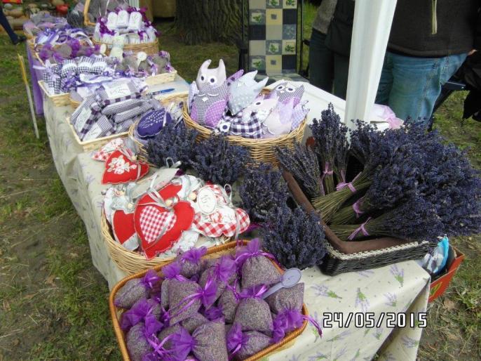 XXI Ogólnopolskie Targi Wierzby i Wikliny „Salix” 2018