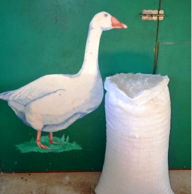 Foto – pstryk ! – To musi być w Ślesinie..