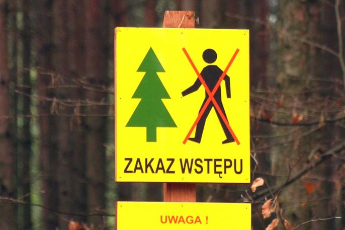 Nadleśnictwo Turek – Zakaz wstępu do lasu