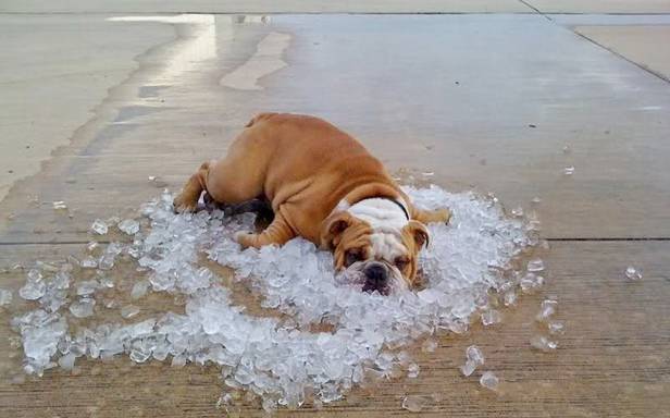 KOMUNIKAT OSTRZEGAWCZY Przedłużenie ostrzeżenia