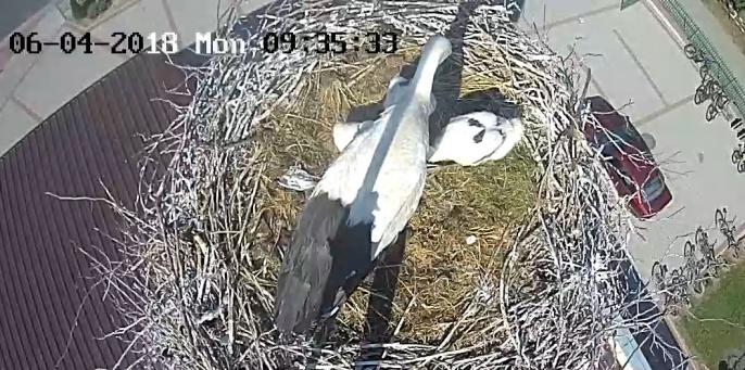 Już tacy jesteśmy duzi !