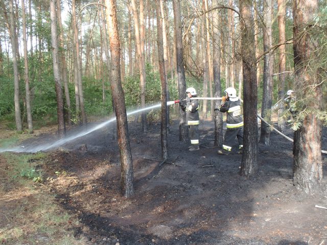 Pożar lasu