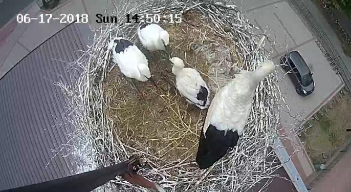 Co nowego u Władusia ?