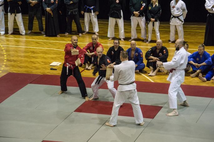 Jubileuszowe Międzynarodowe Seminarium Sztuk i Sportów Walki