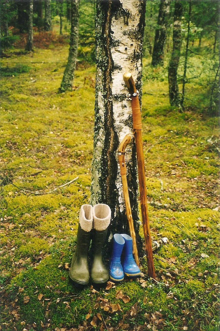 Foto – pstryk … Taki mały, taki duży…