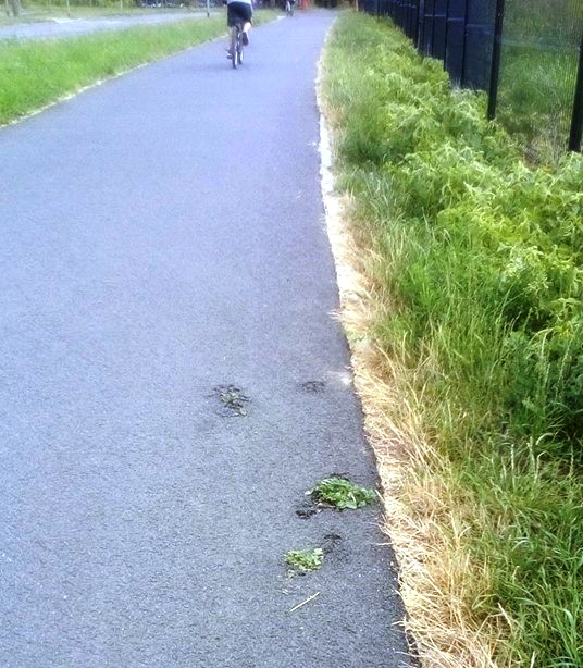 Czytelnicy piszą … – Do kitu