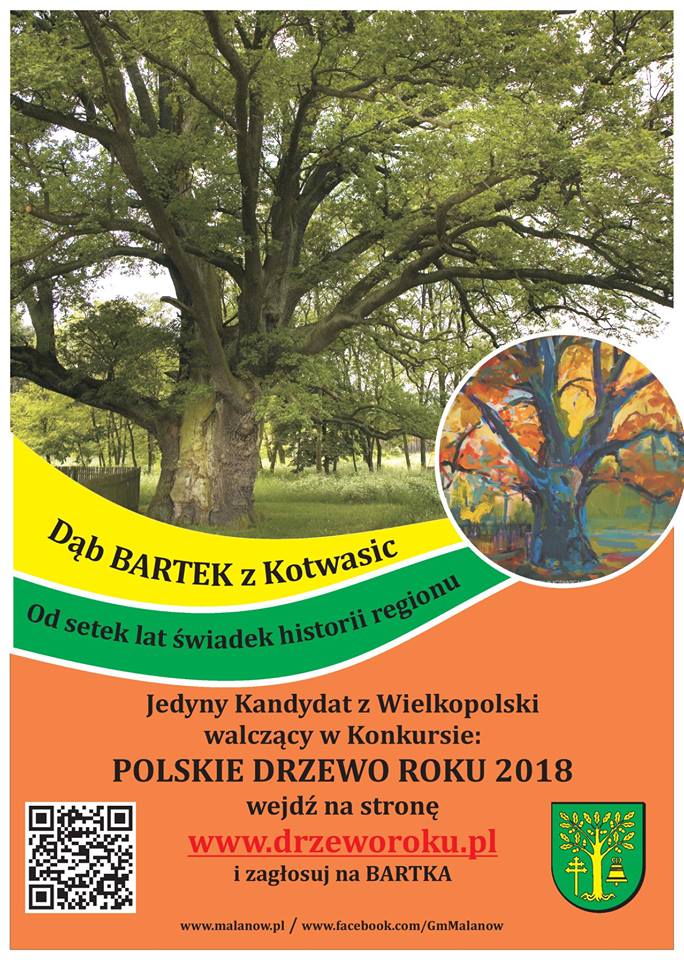 Drzewo Roku 2018