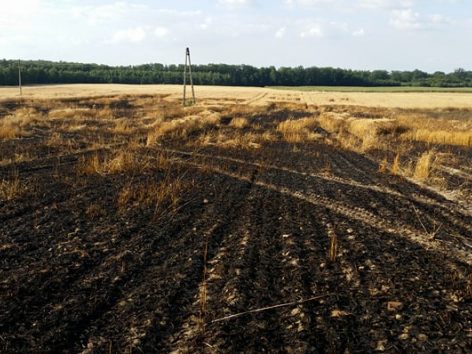 Bezpieczne żniwa 2018