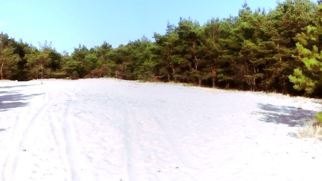 Wydmy nie tylko nad morzem