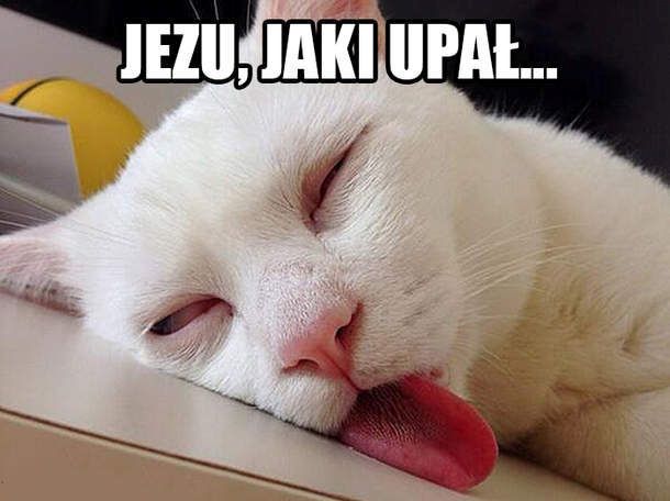 No to przygrzało ….