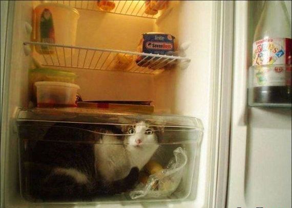 Nic nowego – Komunikat ostrzegawczy – Upał !