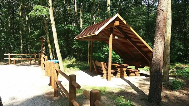 Nowe miejsca postoju w Nadleśnictwie Koło