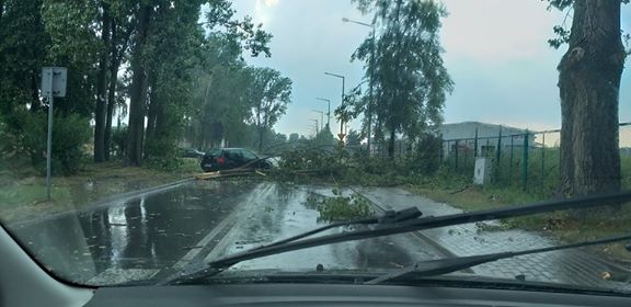 Foto – pstryk Stary Konin dziś o 17
