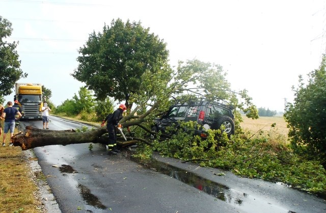 Przewrócone drzewo na samochód