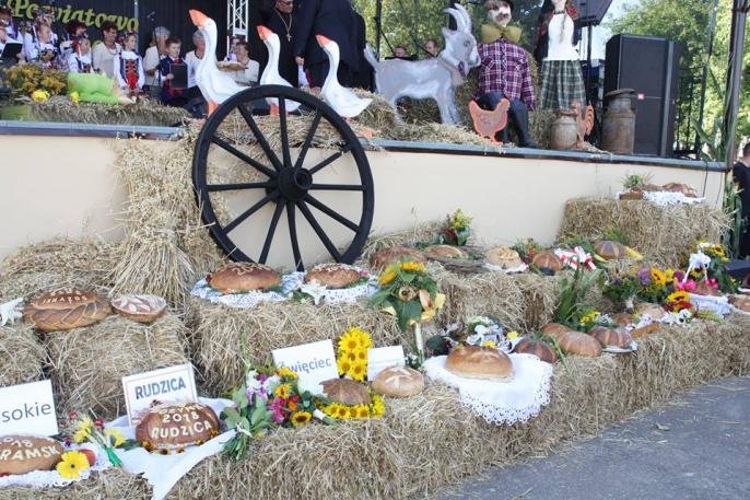 Diecezjalno – Powiatowe Dożynki w Kramsku