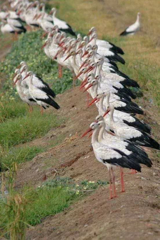 Foto – pstryk … Trzy, dwa, jeden… start !