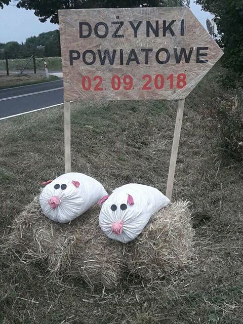 Wszystkie drogi prowadzą na dożynki w Izdebnie
