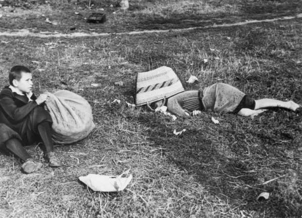 Wojna ! Dzień po dniu