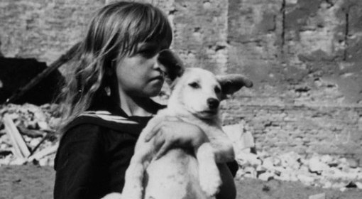 Wojna ! Dzień po dniu