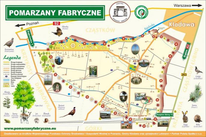 Super mapa – super promocja