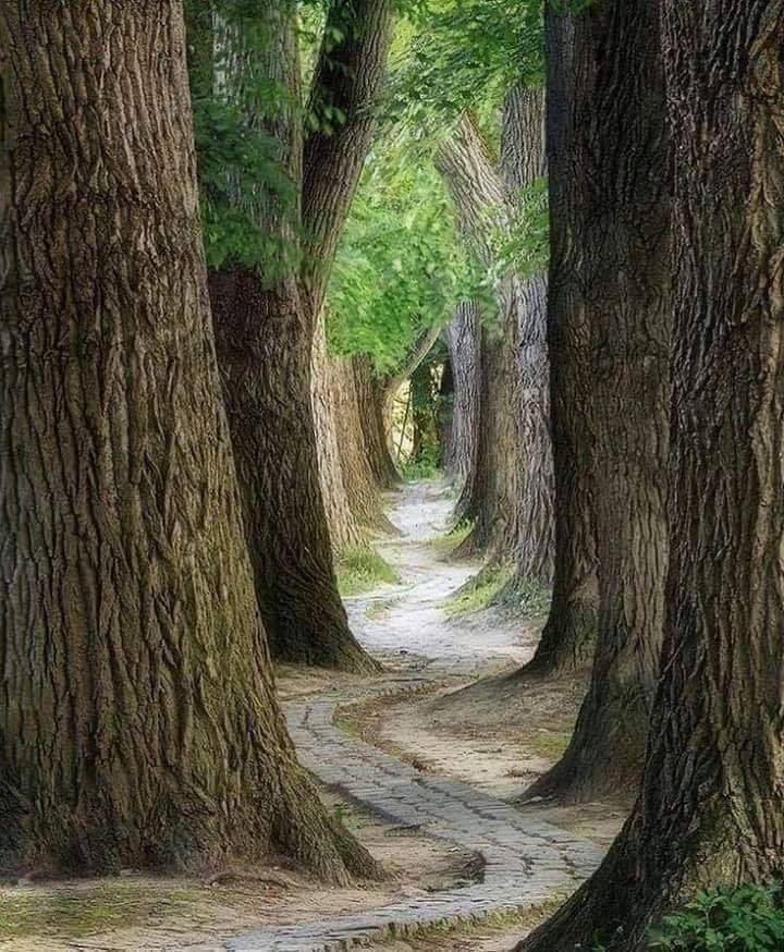 Komunikat UM w sprawie przeprawy