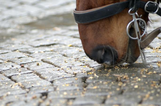 Radni zgodzili się na zaciągnięcia przez miasto zobowiązania w wysokości 120 000 000 zł