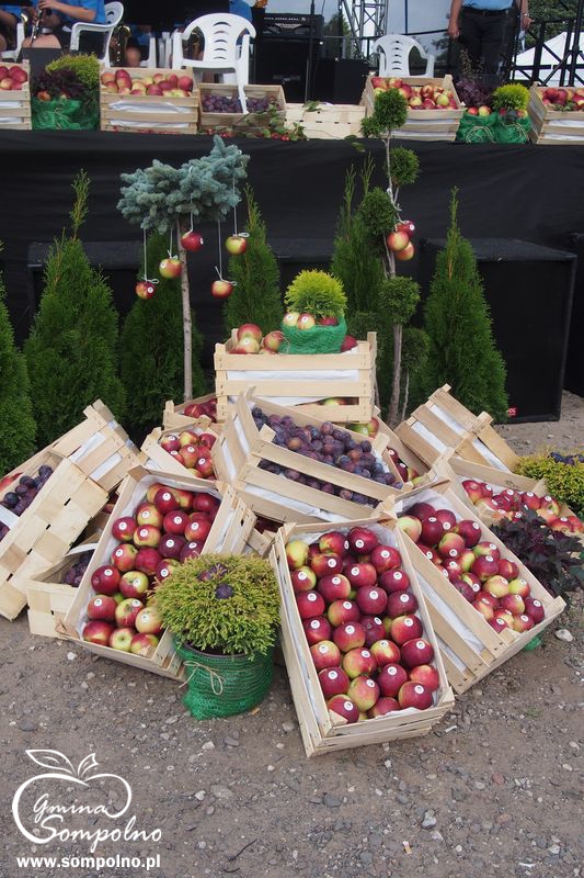 Święto sadów w Sompolnie