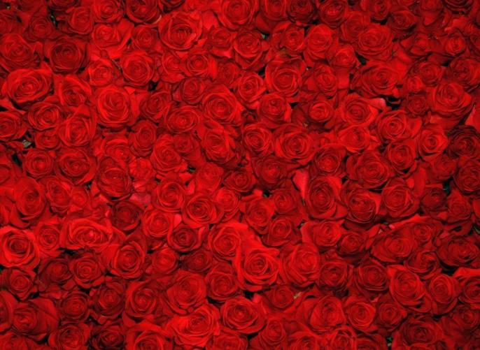 Najstarsza mieszkanka powiatu konińskiego ukończyła 105 lat !