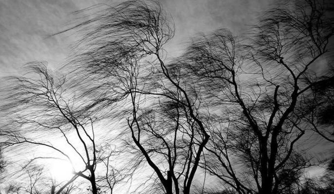 Ostrzeżenie meteorologiczne -silny wiatr