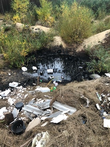 Ropa rozlana w lesie