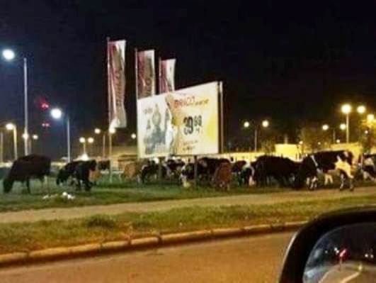 Foto – pstryk … – Po prostu Koło