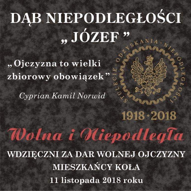 Dąb Niepodległości  zostanie posadzony na kolskiej Starówce