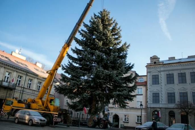 Foto – pstryk… – Już przyjechała !