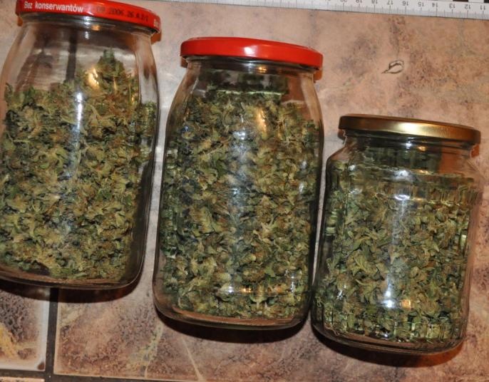 Kolejne zatrzymania narkotykowe