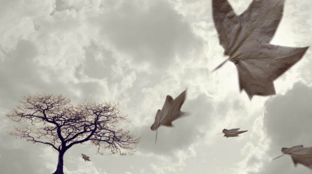 Uwaga ! Silne wiatry