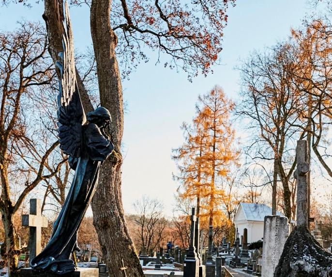 Samorząd miasta Wilna poszukuje krewnych osób pochowanych na Starej Rossie