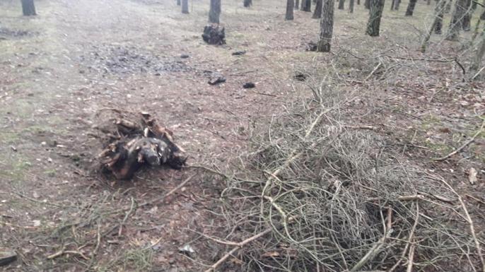 Park Miejski w Zagórowie.