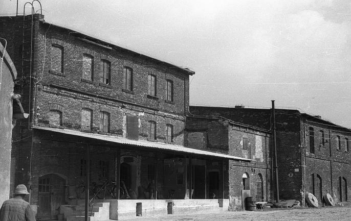 Dawno temu w … Wilczynie