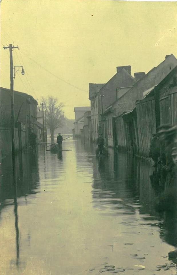 Wodna bo … w wodzie