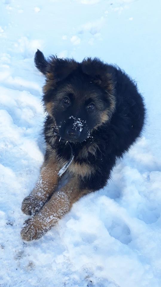 Zginęła w okolicach Nowego Brzeźna
