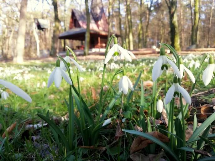 Znaczy się, wiosna…