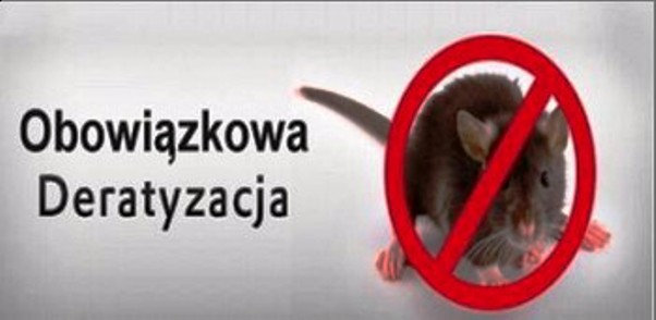 Uwaga ! – Akcja deratyzacyjna na terenie miasta Koła