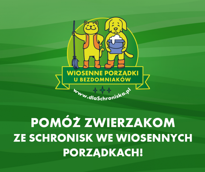 Pomóż Schronisku w Koninie w wiosennym sprzątaniu… przez internet