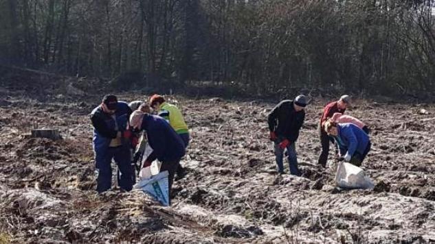 1000 drzew na minutę