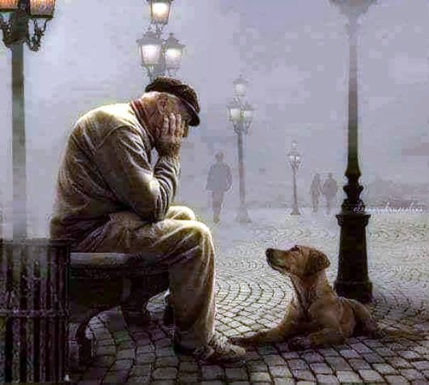 Światowy Dzień Bezdomnych Zwierząt