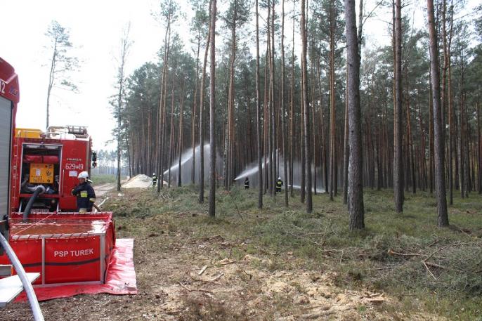 Ćwiczenia Pożar lasu